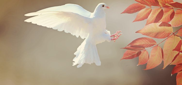 Bird with Long Beak